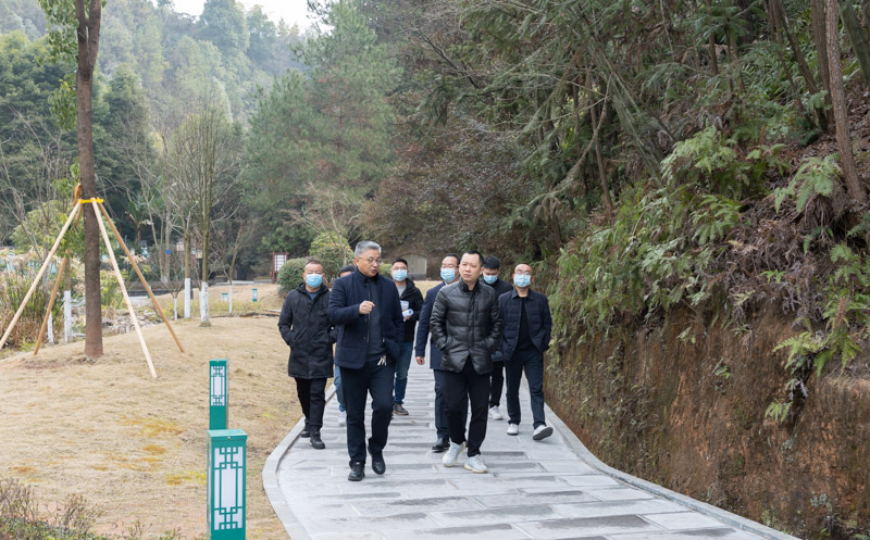 總經(jīng)理范涌調(diào)研恩施國投·百花園景觀(土司城改擴建一期)工程項目