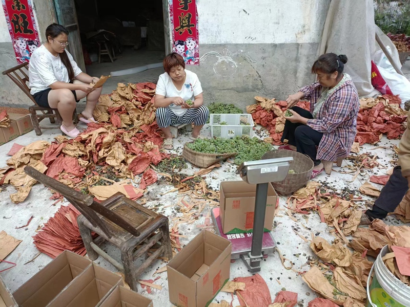 d65a6318fce77fab30366b863b19432_副本.jpg